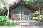 Photos of Enchoro Wildlife Camp