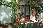 Courtyard View Hotel - Image 2