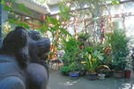 Courtyard View Hotel - Image 3