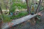 Photos of Lazy Jakes Guesthouse