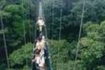 Manakin Lodge