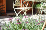 Photos of Hotel Beaunier