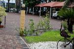 African Lily Self Catering Family Suites - Image 5
