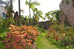 Photos of Hoian Orchid Family Resort