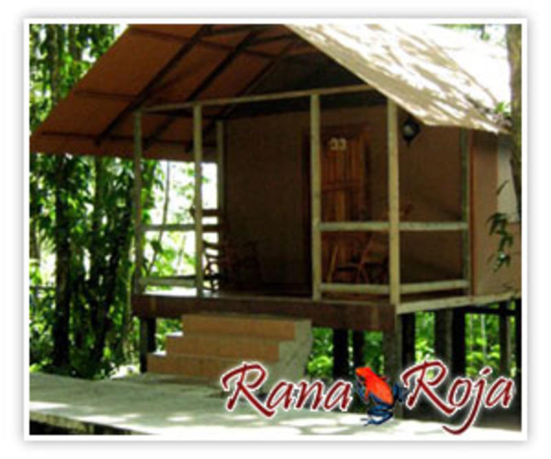 Rana Roja Lodge & Cabina  0