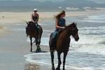 All Africa Backpackers J Bay - Image 2