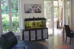 Photos of Villa Aramis