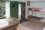 La Casa Verde - Eco hostel - Image 5