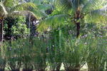 Photos of Mahatu Leticia Hostel