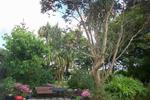 Kilcommon Lodge Hostel - Image 4