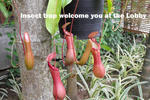 PaiCome Hideaway Resort - Image 5