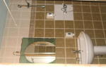32 Romulus - Image 6
