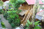 Melinda's Garden - Image 4