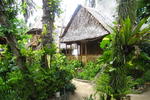 Melinda's Garden - Image 5