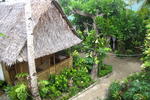 Melinda's Garden - Image 6