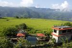 Green Peace Resort - Image 4