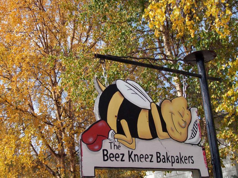 The Beez Kneez Bakpakers Hostel  0