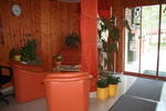 Hajnal Hotel - Mezokovesd - Image 6