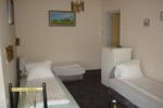Wolf Hotel - Sarvar - Image 4