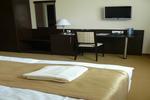 Garden Hotel Wellness&Conference - Szolnok - Image 9