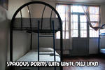 Hostel Pangea - Image 4