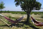 Photos of Molino Nuevo B&B