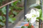 Olah Hostel - Image 7