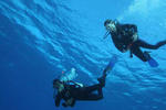 Photos of Waisalima Beach Resort & Dive Centre
