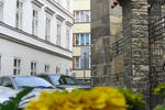 Ragtime - Image 2