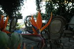 Ravello Rooms - Image 2