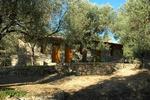 Gera's Olive Grove-Elaionas tis Geras - Image 5