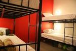 Patong Backpacker Hostel - Image 8