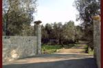 Santa Venardia - Image 8