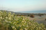 Photos of Zeybek 2 Pension
