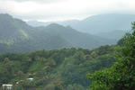 My Father's Place Guesthouse - Image 3