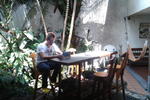 Photos of Palm Tree Hostel Medellin