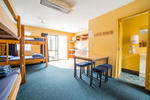 YHA Wanaka Purple Cow - Image 10