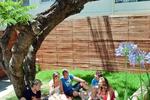 Surfers Paradise Backpackers Resort - Image 5