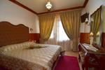 Apollon Hotel - Metsovo - Image 9