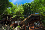Photos of Maney Resort Phi Phi