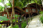 Photos of Maney Resort Phi Phi
