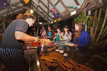 Photos of Tropic Days Backpackers
