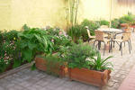 Hostal Balmaceda - La Serena - Image 2