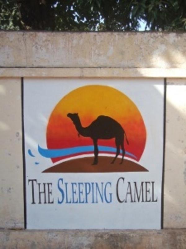 The Sleeping Camel  3