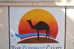 The Sleeping Camel - Image 4