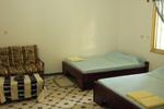 The Sleeping Camel - Image 6