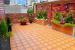 Hostal Suites Madrid - Image 6