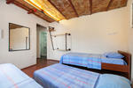Rapunzel - Image 10