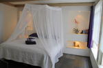 Bees Studio