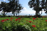 Sea of Galilee Guest House - Image 9